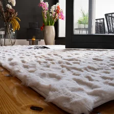 Ein flauschig weicher weißer Hochflor Teppich liebt im Wohnzimmer - Ein flauschig weicher weißer Hochflor Teppich liegt im Wohnzimmer
