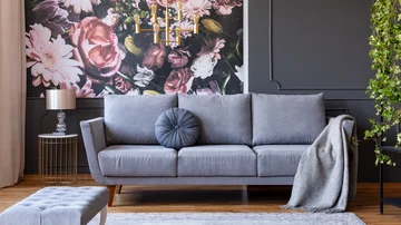 Kissen und Decke auf einem stilvollen Sofa in einem grauen Wohnzimmer Interieur mit Efeu Pflanzen und Blumen an der Wand Tapete Fototapete Teppich Polsterstoffe
