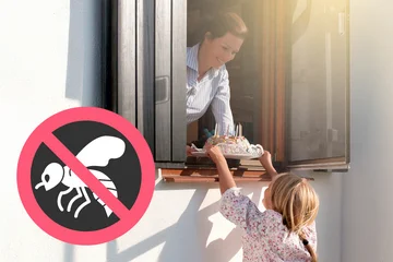 Hilfe gegen Wespen